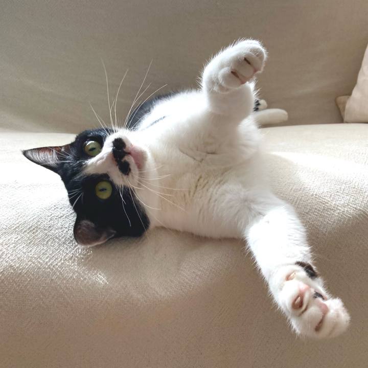 5611cca5 e007 483a 98e4 37e976ce8c05 1758418208047