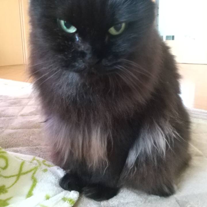 5611d56e a810 4acc 8056 27e7d6e96d01 1654993713203