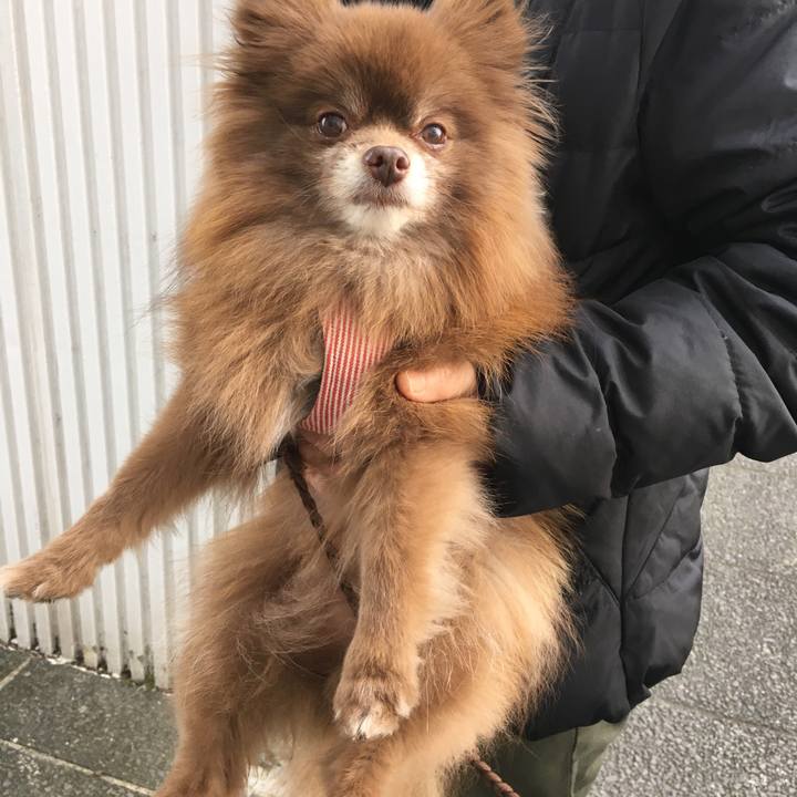 5611dc02 391f 484d 8b6d b3158028993a 1522152808339