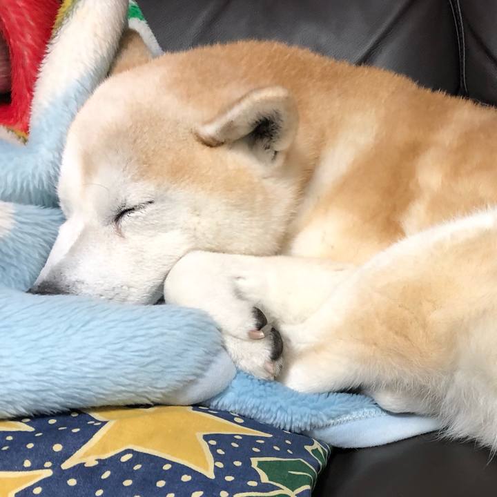 5611dc0c 8b03 41a8 86ac 95369a0830e9 1551307268140