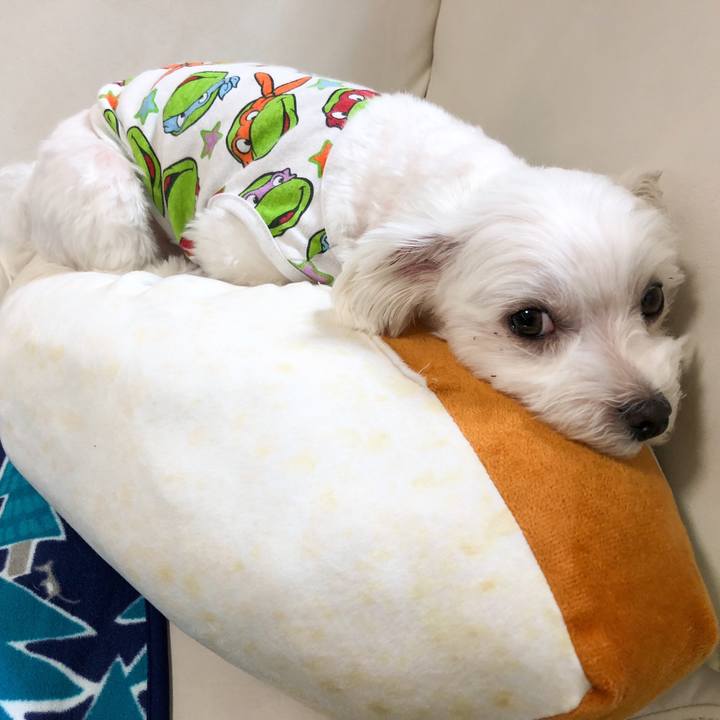 5611e0ef 8b7b 492a a6d2 6eaae462ab7e 1557842496295