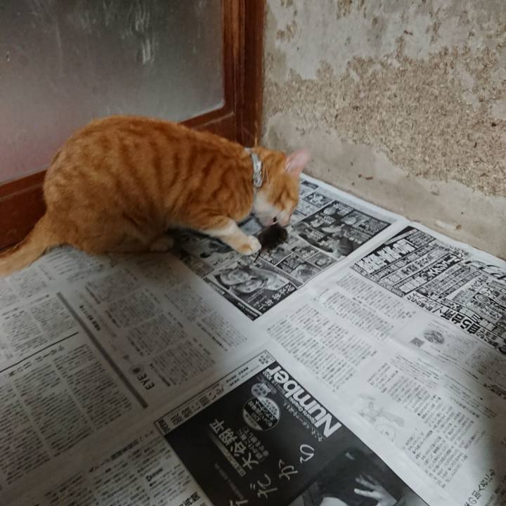 56120393 87bb 4fe5 9e55 01b365500ffe 1590405137224