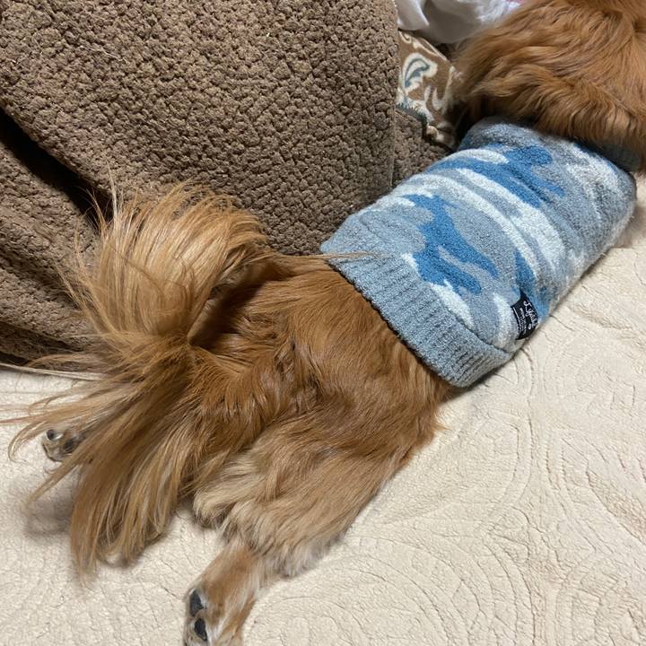 56120607 4102 44fc 8e2a 27c5df33a84e 1675030898327