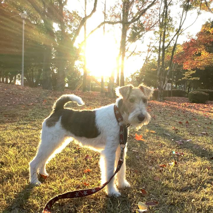 56121668 6065 4753 b6a1 c4730bf6a892 1764073483693