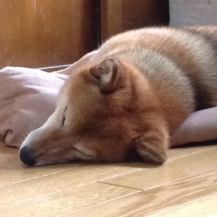 56124dea e93b 4d76 ae2b fb6f885ccc16 1531553261640