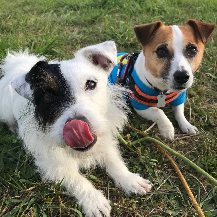 56126e83 e381 41fc 961c 6cd6a028a39a 1528189776842