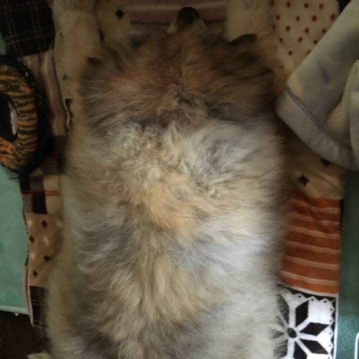 56127974 bb89 4aaf baf0 549dfd9c2d17 1644243908965