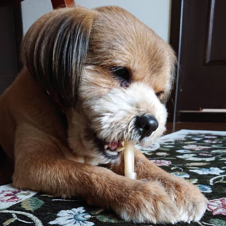 56127ab4 8adb 4872 a63f e931f0287123 1556786654554