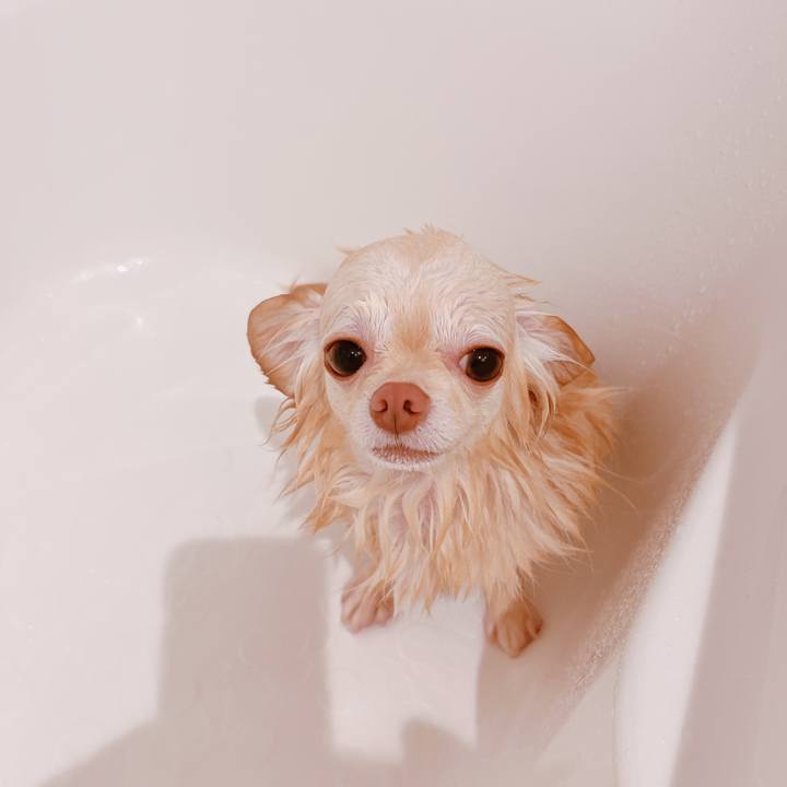 5612abee 923c 4fd2 8b6b 3de7f8884fff 1659442158270