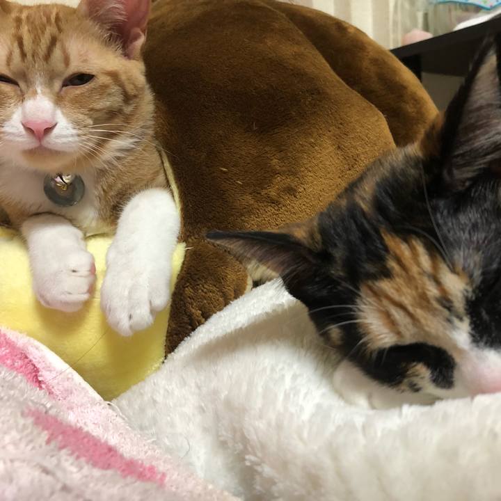 5612ddc5 36dc 460c 802d 4368a189a51b 1546868633885