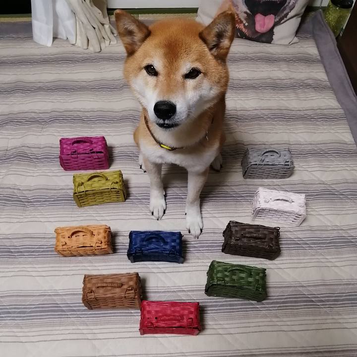 56130f25 4fd9 4744 b20a 586c492f1d35 1658662558215