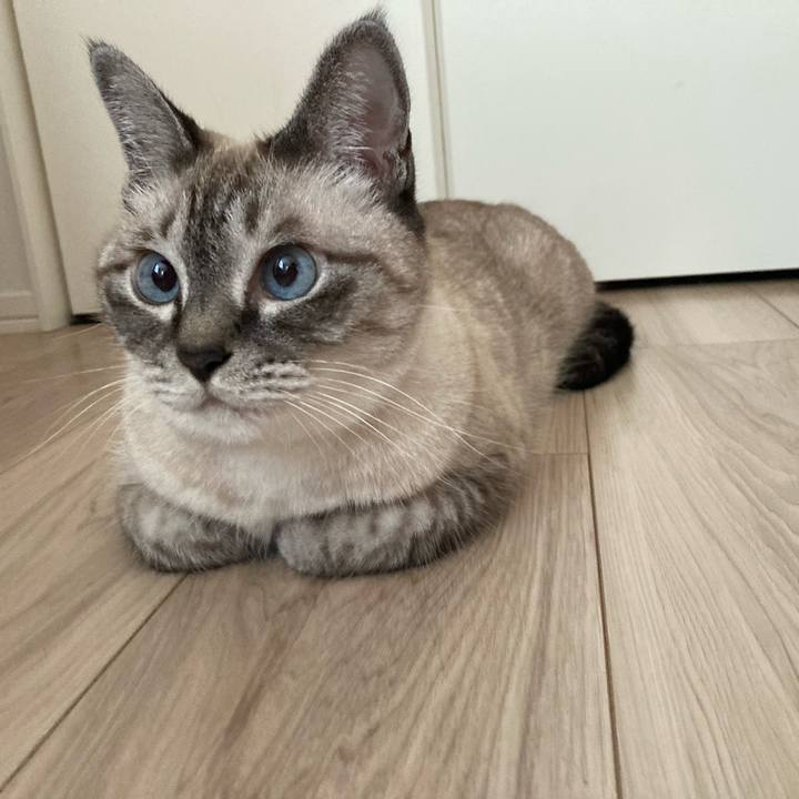 56131d89 605e 4137 8ec8 4351ab6cef00 1759105139482