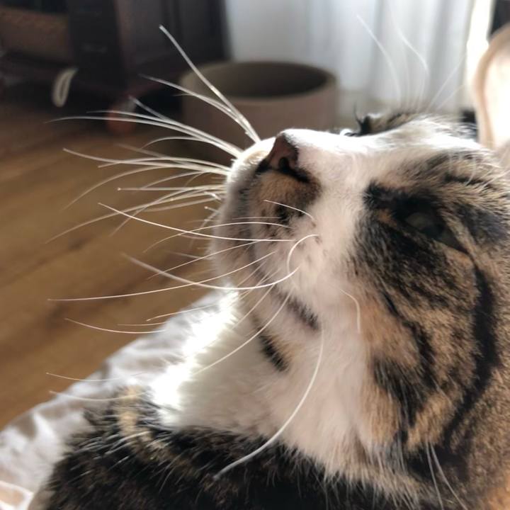 56132523 125d 4f1b ba3a 6012b6233916 1677886464342