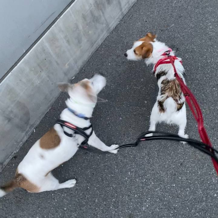 56138e1a 55cd 43e8 b6d1 d46d7d94b2d9 1631570863087