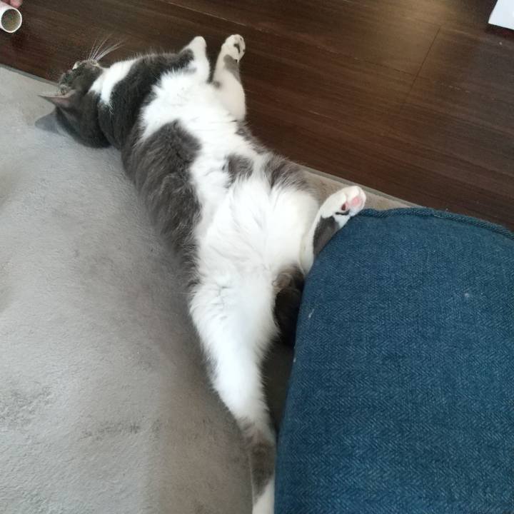 5613a80f 0c8f 4bd6 8d75 334fa3380f64 1623110957463