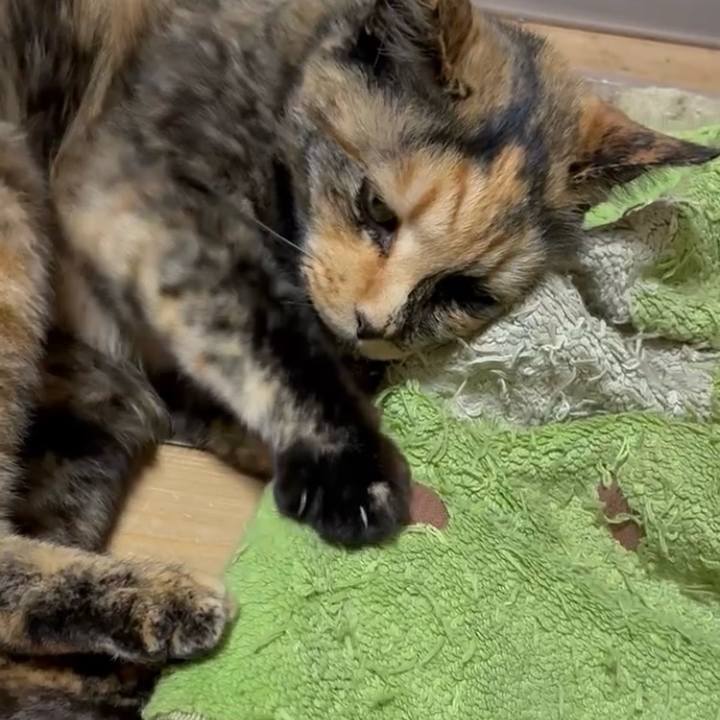 5613ddad 296a 41e0 a1fb 0124ae8f9130 1748635117955