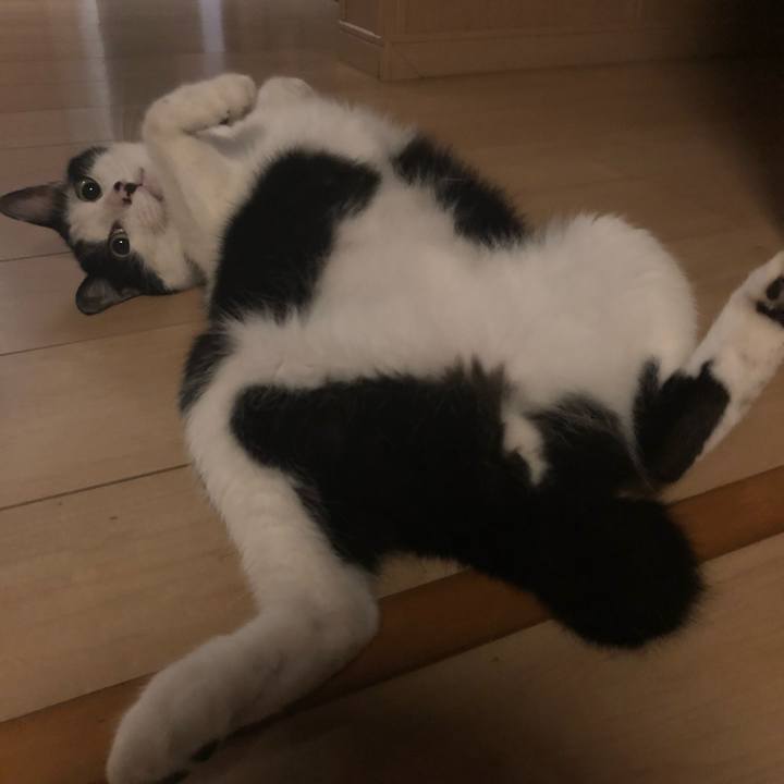 5614150a c289 4417 a54f b381e98ad774 1567097131657