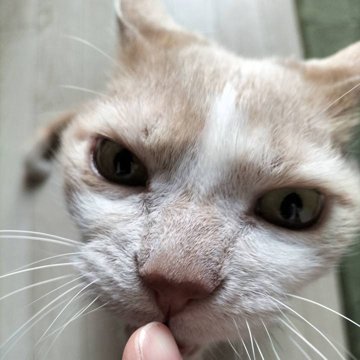 5614206b c05b 4bf8 be09 7424b7baeed3 1646778716373