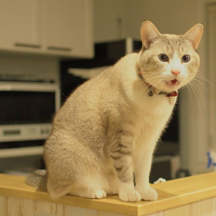 561426b9 7afd 4348 83dd 48b974465046 1581337418143