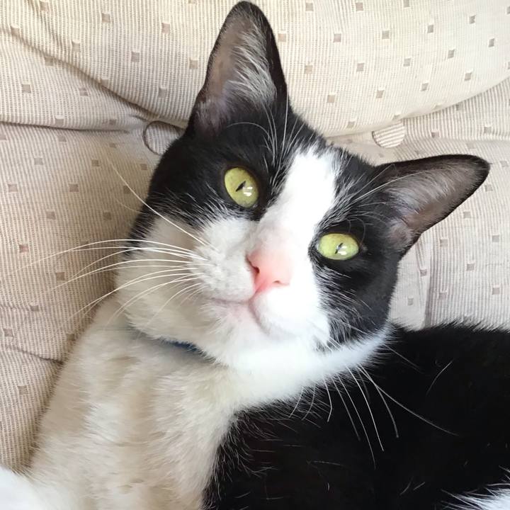 561432a1 a355 477f b79c f756869b3217 1717583702162