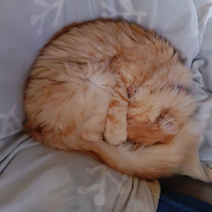 56144dc0 6b17 4278 9a0e f9a2699ee61c 1703330386937