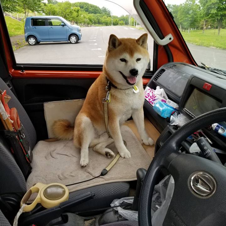 5614aeaa 2c6b 417b a4fc 9cbdf50f9adb 1652947378717