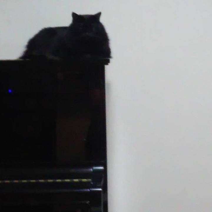 5614d8b0 a823 4eda a34d 9befcab5dec2 1540728233248