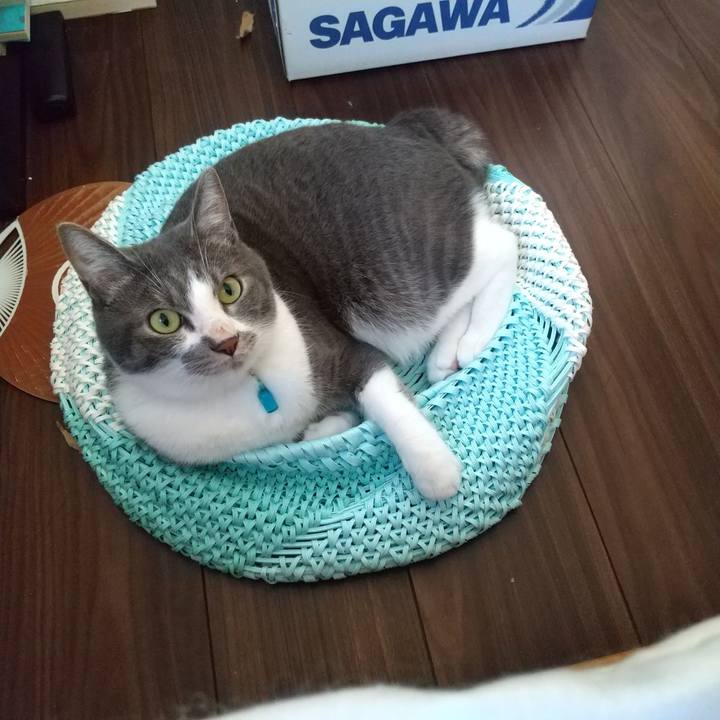 5614fe4f eb9c 471c 8412 1c18777deac2 1626471652991