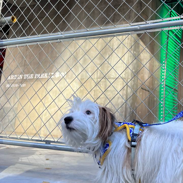 56153f3e afd5 4204 a9cb 208c6019ed2b 1733052168919