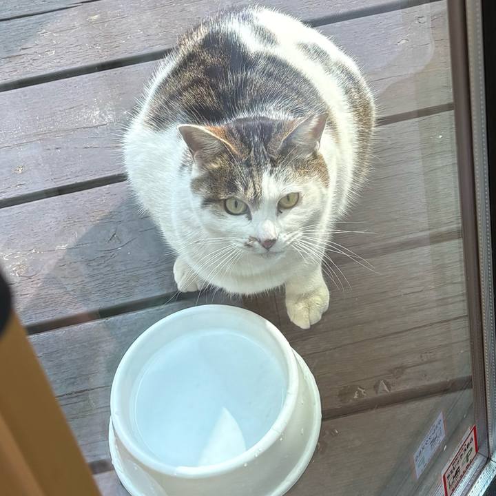 5615448e 7015 4913 b99b 5439c92a6861 1773339213087