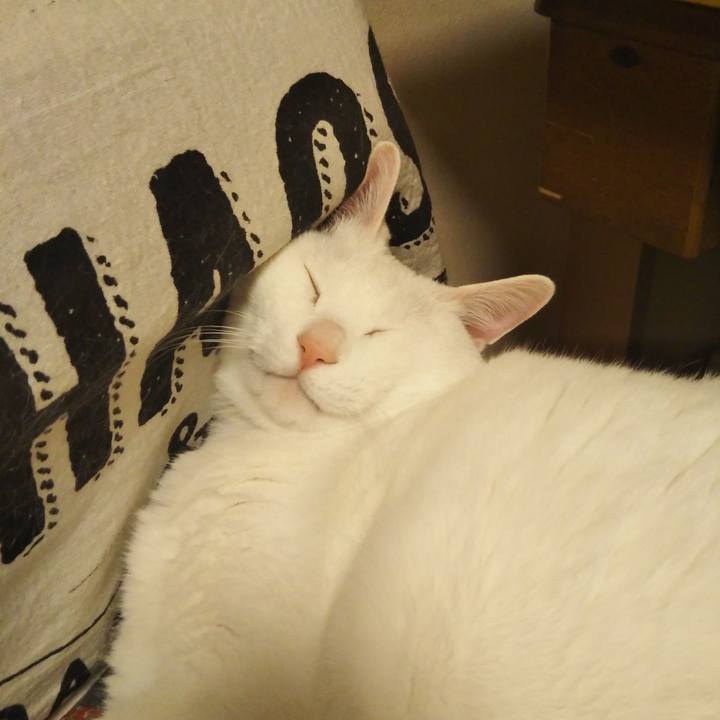 5615763a 0f39 414e baec 50b68e6f454d 1619793974359