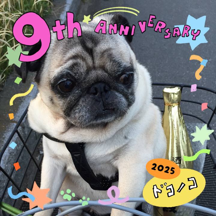 56158389 f0d6 4d5a ad27 04f84cbc4e09 1749095623536