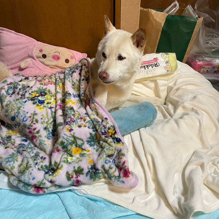 5615b3d1 b216 459f aa2b 88f3b683274d 1634816568556