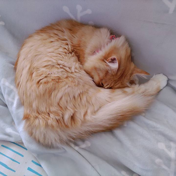 5615b5af b32b 48fd 81dc 5d248ed6d9b6 1667879314583