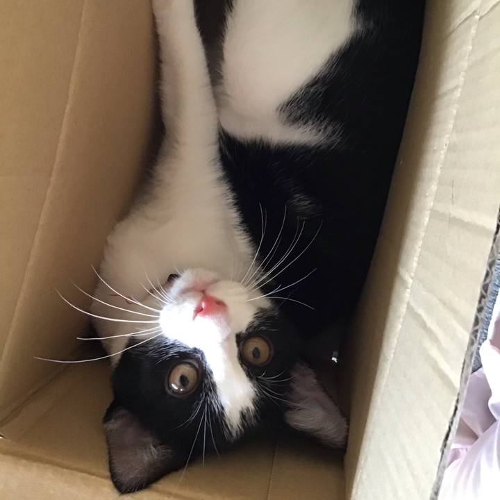 5615d00a a1df 435f 82a8 7a6e49e29646 1629453989672