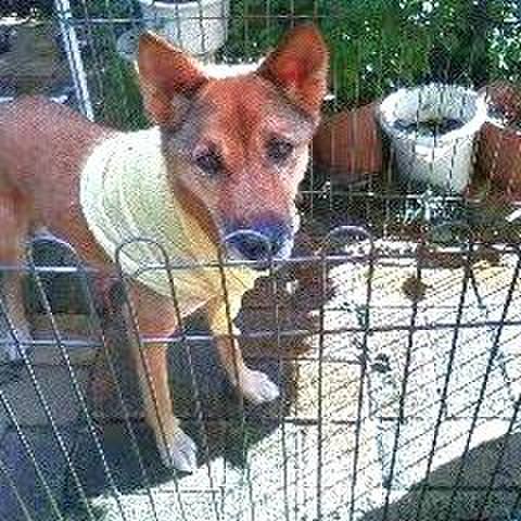 561610b3 cde7 434d a575 e12c37759e76 1660313920345