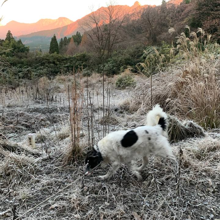 5616660e c3a7 4eef be97 2adafb6d37e3 1575811996328