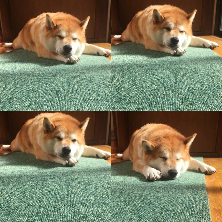 56167d3f 33ab 45d0 aa09 7d6edacf6a3d 1600665981964