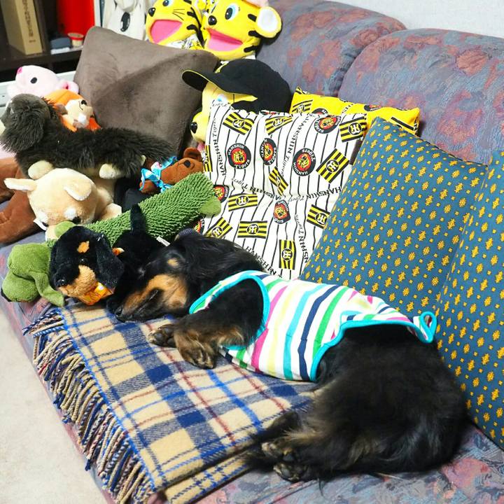 561689d6 64e2 40ac b3c7 8a8b83fa2caa 1529035896661