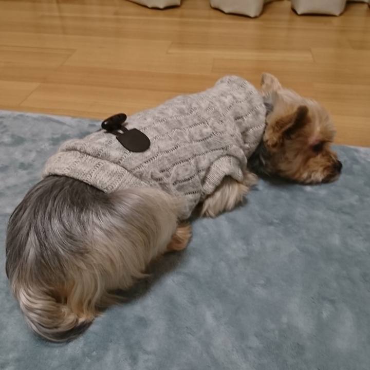 5616d60f 9548 44d9 a831 bdf7f90622d7 1543060271076