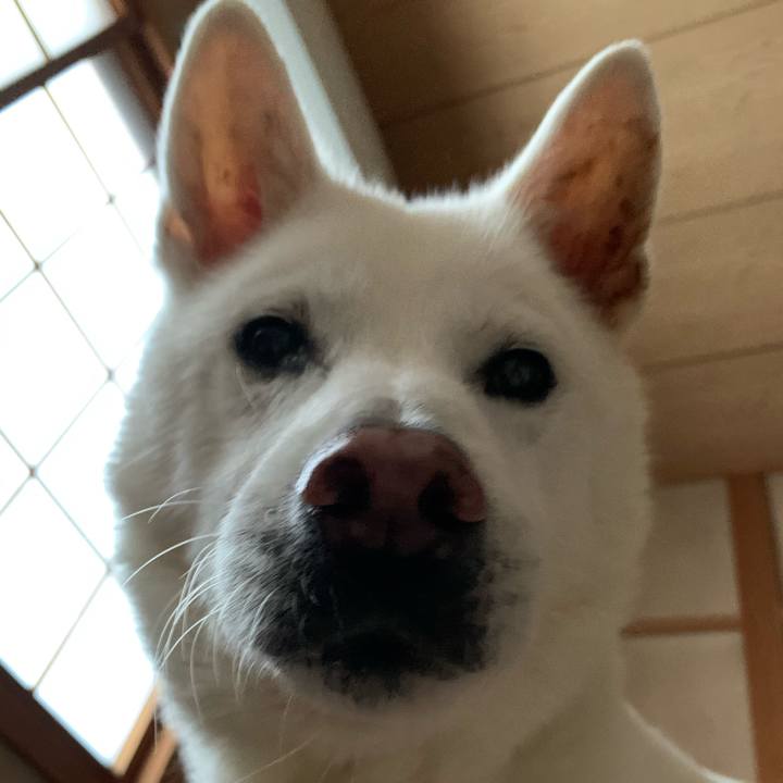 5616e8d1 f816 4a9b 9fa5 ce909fbbae4c 1575162177257