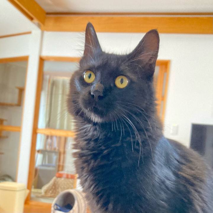 5616fa51 670c 410b 8800 0bd0bc5d6b16 1719973178964