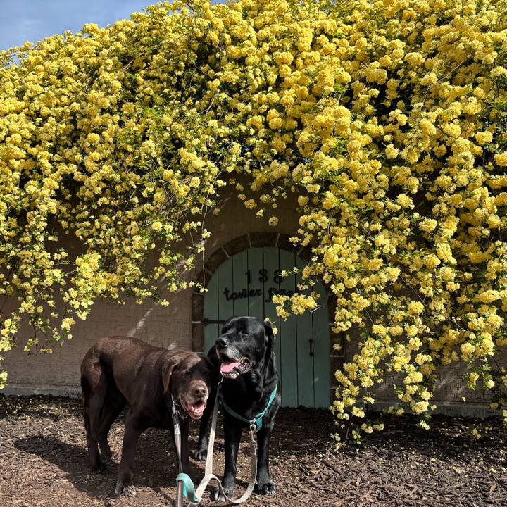 56172b3d 0d09 453c 95f2 47a363d0707a 1776516191772