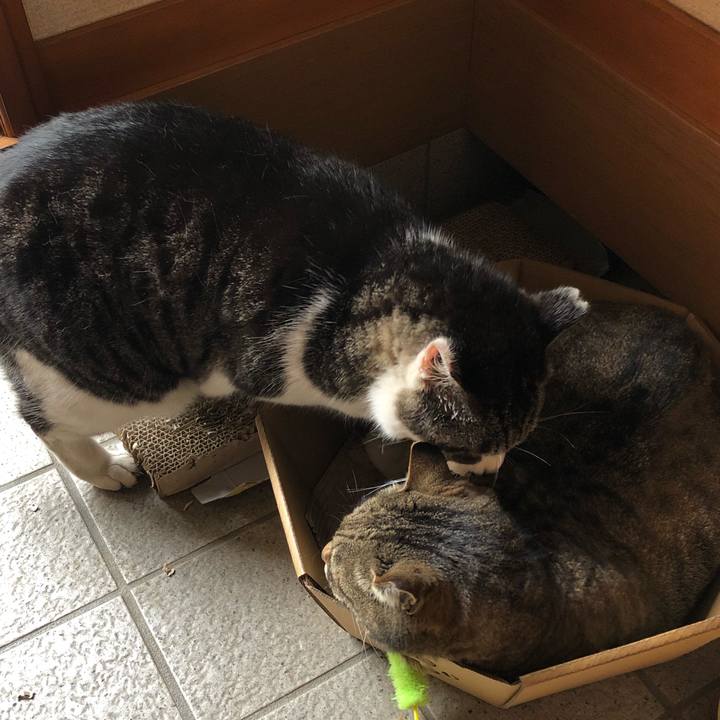 561767e5 3b92 4d35 95b2 91ace0ef3371 1556342024857