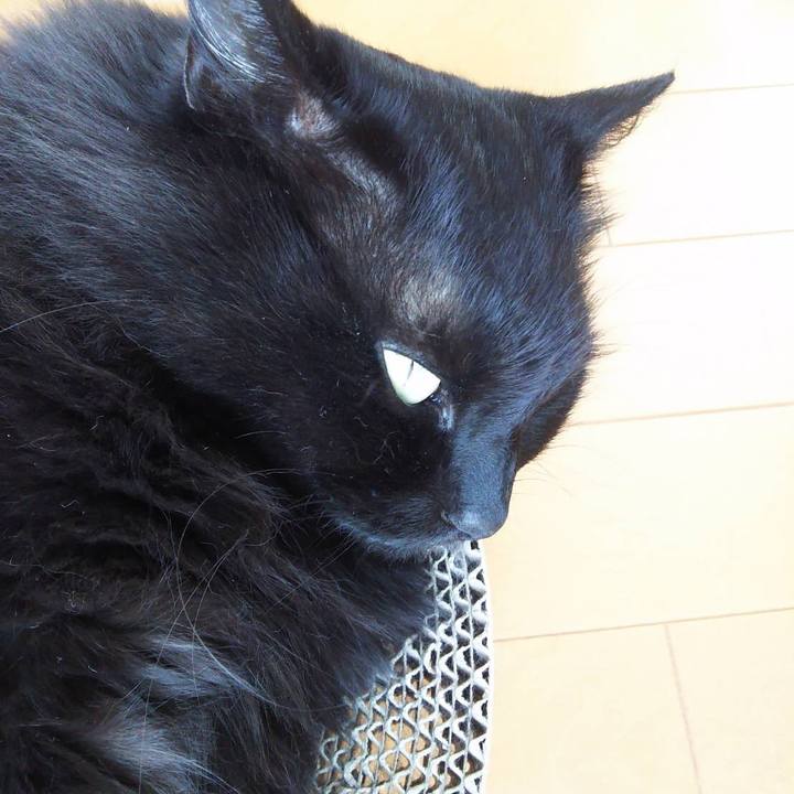 56176d88 fb5a 4a66 aa0d 8a90bdd6c4fa 1528513468861