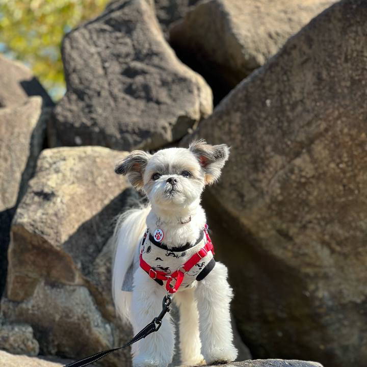 56179b9c b01b 4ec9 ba6c 7c0cbeded171 1636013471057