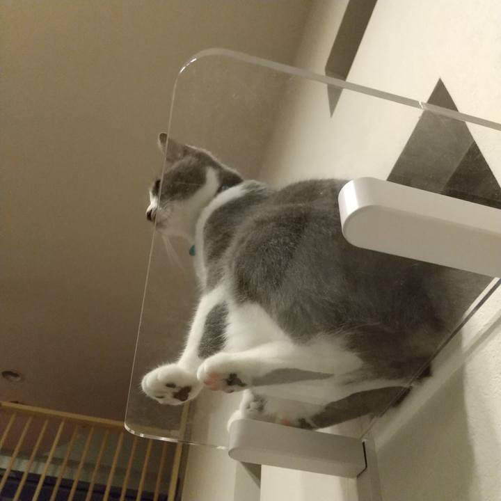 5617bd16 4a5e 4e25 bf27 d42868d4904d 1602512806202