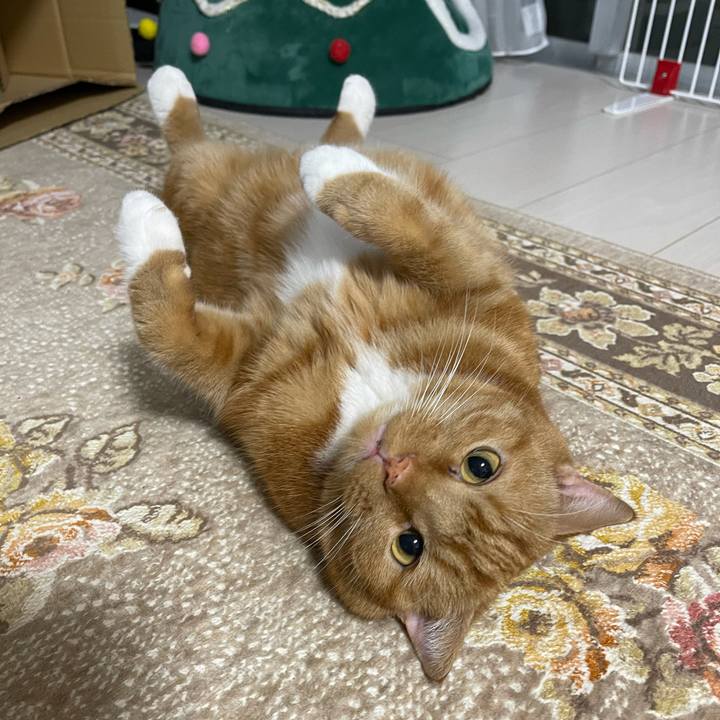 56180d06 a803 4b62 8dce 378894020961 1634390382321