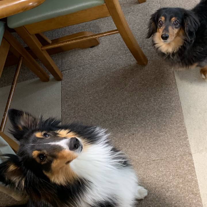 5618163a a228 4b5c aa37 2526e0b32f24 1550785888357