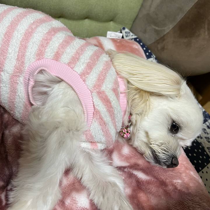 56181ace 5a1c 4ccb 9b2d fbceccf345a9 1672312221031